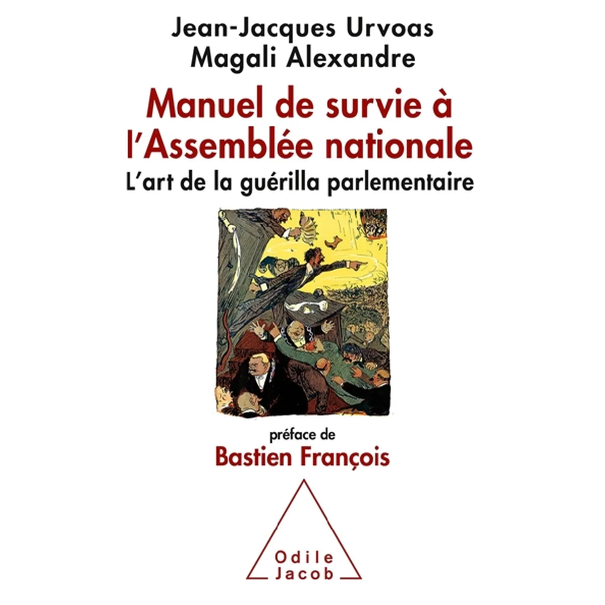 Manuel de survie à l'Assemblée nationale : l'art de la guérilla parlementaire · Occasion