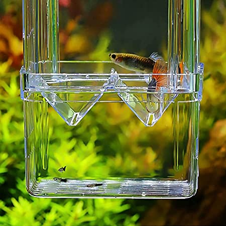 (11x8cm) Aquarium Brut Kasten Fisch Zucht Ablaich Becken mit Saugnäpfe - Transparent