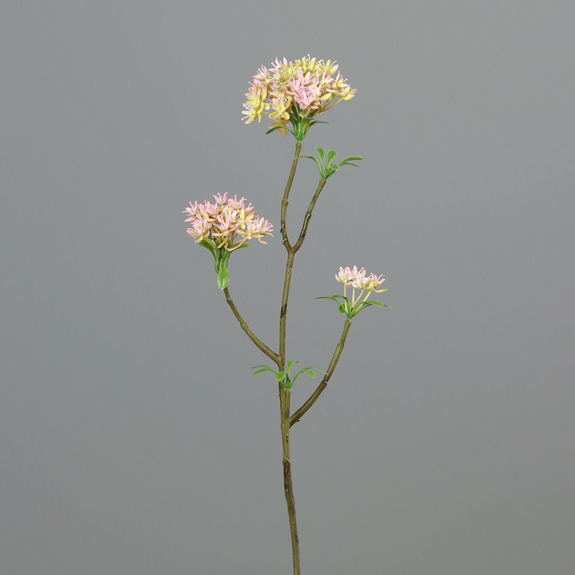 Kunstblume BOWARDIENZWEIG
