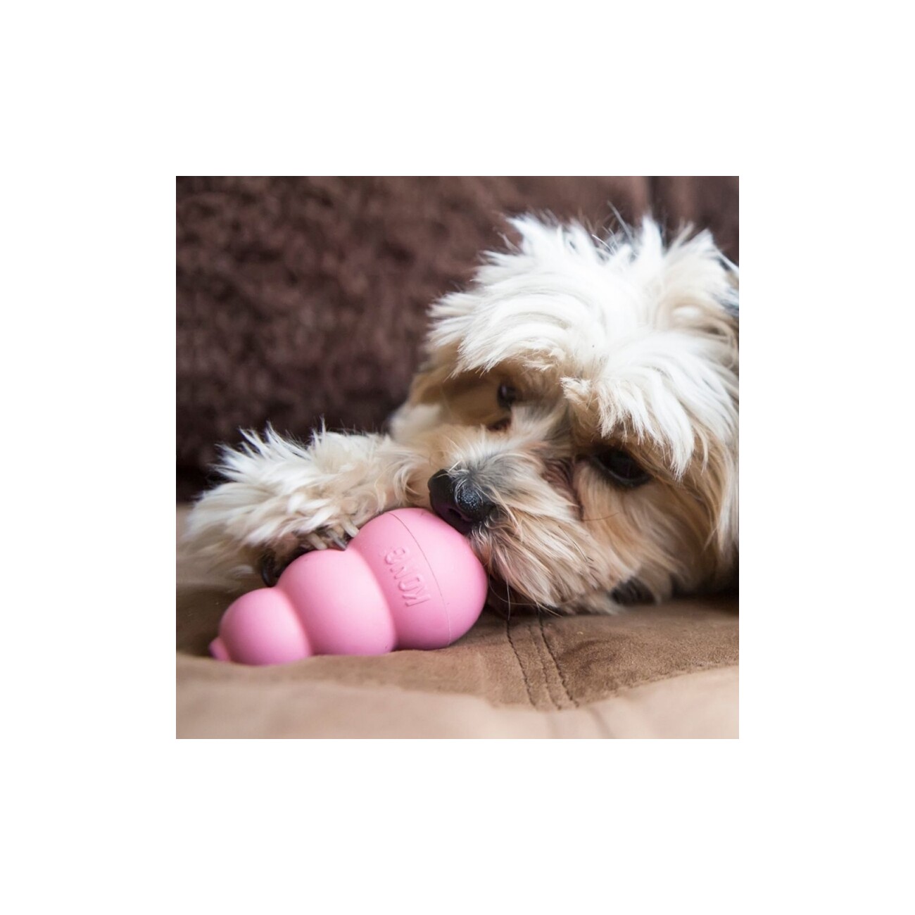 KONG Welpenspielzeug Puppy S