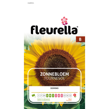 Fleurella zaden zonnebloem