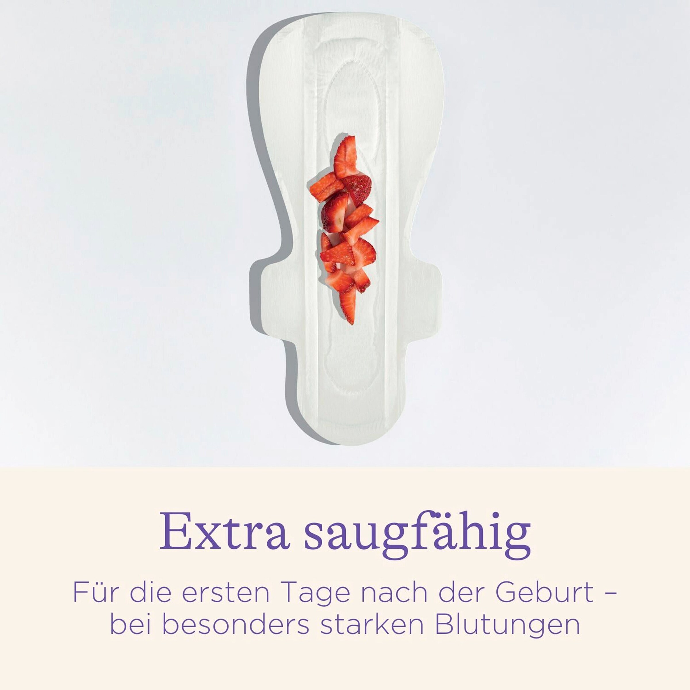 Lansinoh Bundle 3er-Pack Wochenbetteinlagen 0-2 Wochen,10 Stück