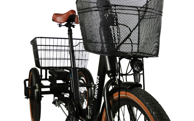 Blaupunkt E-Trike / E-Lastenrad Minna 20 Zoll 250W