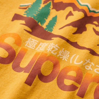 Tee-shirt à manches courtes homme Cl Great Outdoors Graphic SUPERDRY