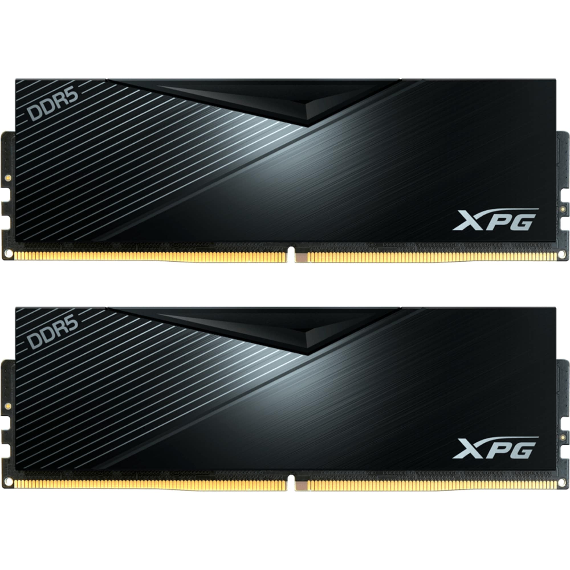 ADATA Arbeitsspeicher DIMM 32 GB DDR5-5600 (1x 32 GB)