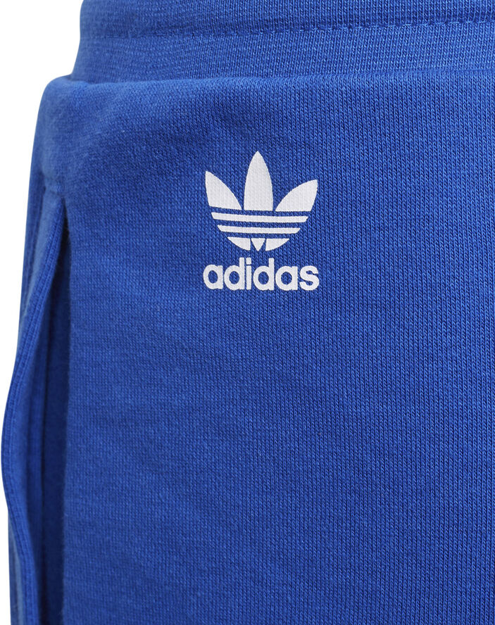 adidas Big Logo Trefoil shorts Gd2694