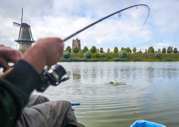 Canne Feeder Cresta KXB Pro Carp (30-60g)