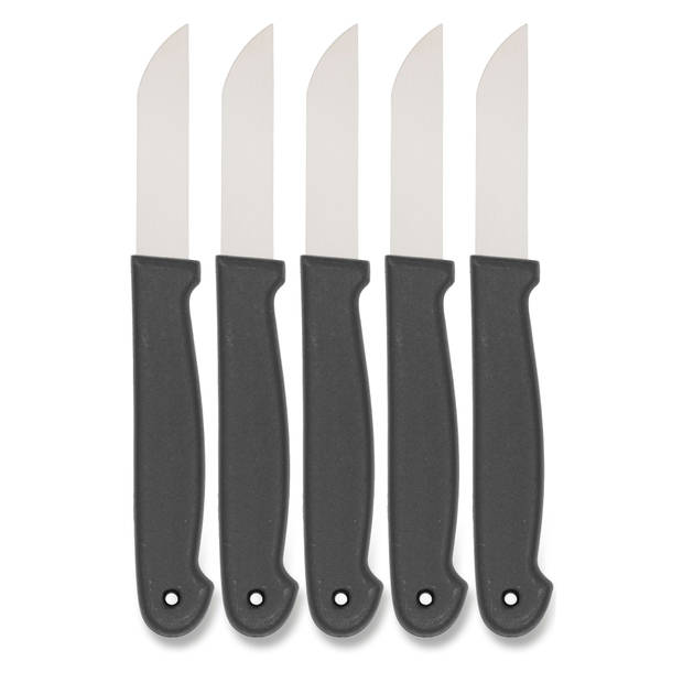 Blokker schilmesjes set