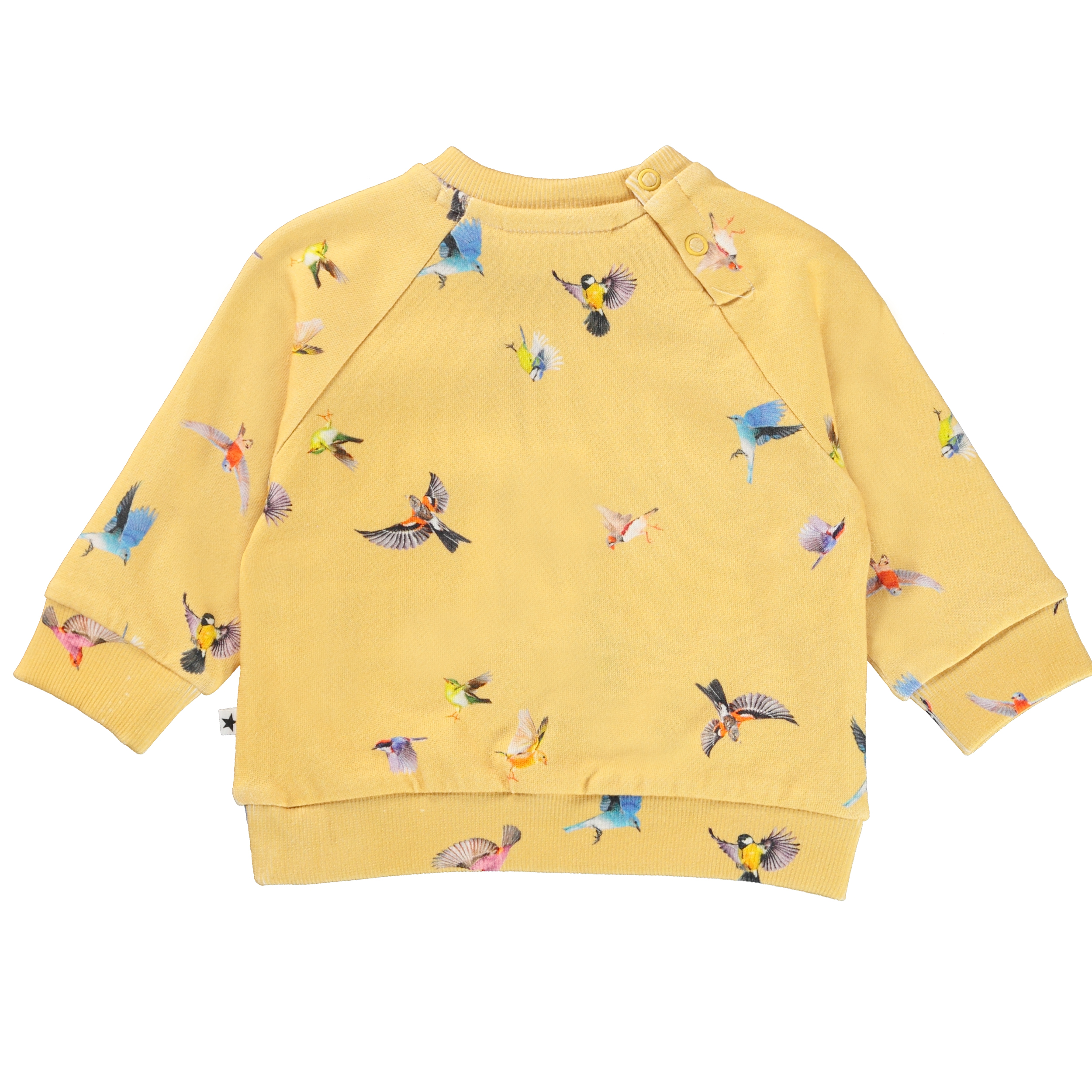 Dicte - Mini Birds