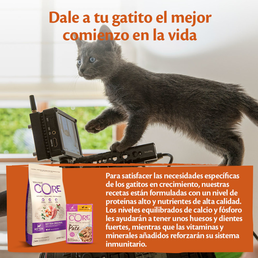 Sachê de 85g de Patê de Frango Wellness Core para gatinhos