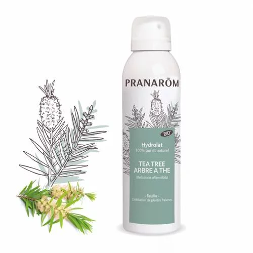 Hydrolat Tea Tree - Arbre à thé - 150 ml