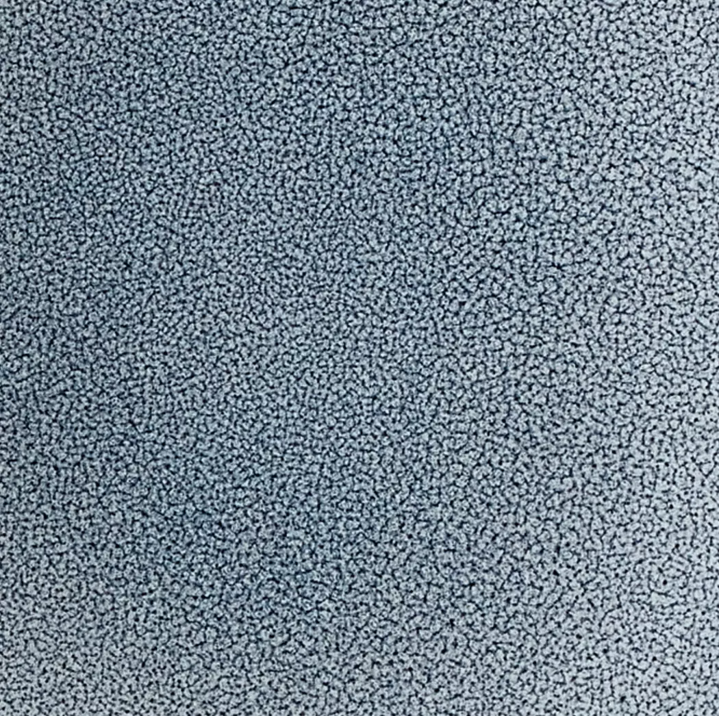 Speiseteller Skagen Ø 26,5 cm