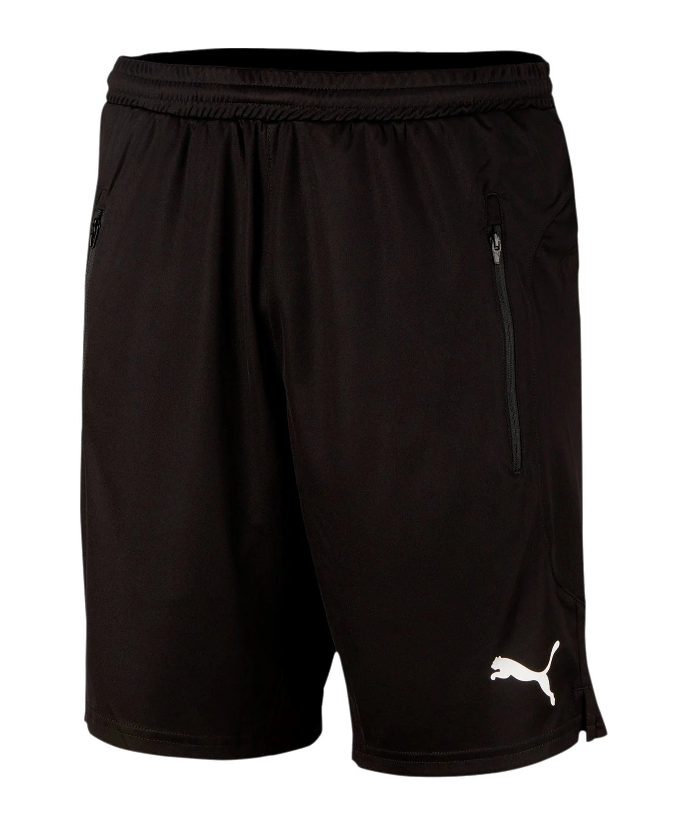 PUMA Schiedsrichter Short Schwarz F01