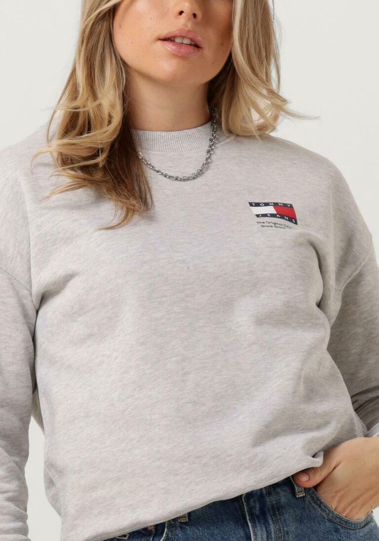 TOMMY JEANS grijze tommy jeans sweater tjw bxy graphic flag crew
