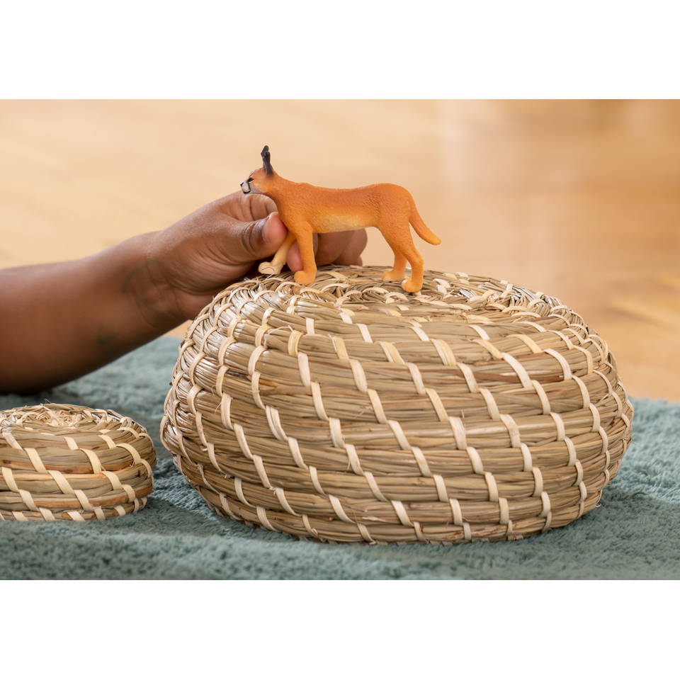 schleich WILD LIFE vrouwtjescaracal 14867