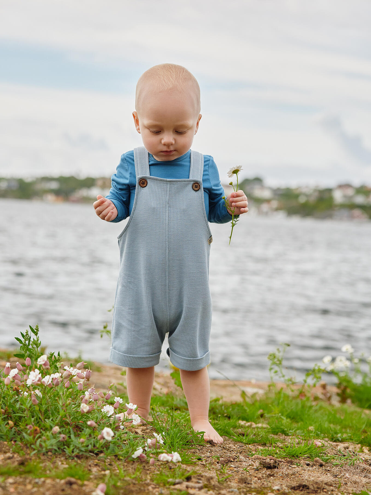 Tille Baby Shorts