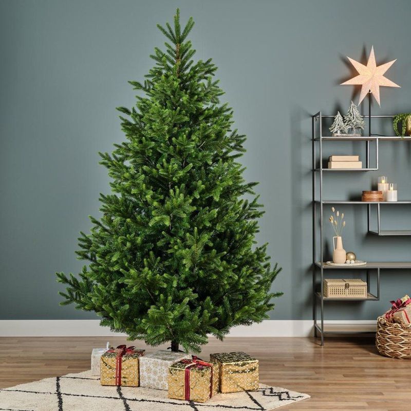 Everlands - Nordmann - Kunstkerstboom - Groen - 210 cm