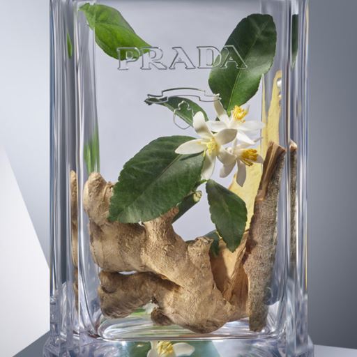 Prada L'Homme L'Eau Eau De Toilette 100 ml