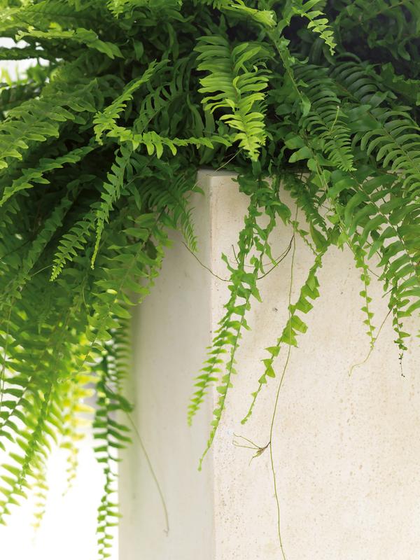 fleur ami Polystone-Raumteiler Divide,