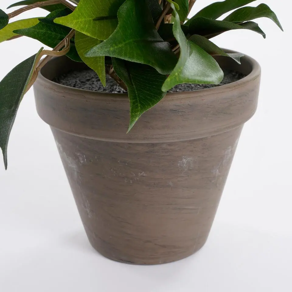 Mica Decorations Kunstplant Ficus - groen - 40 cm - voor binnen