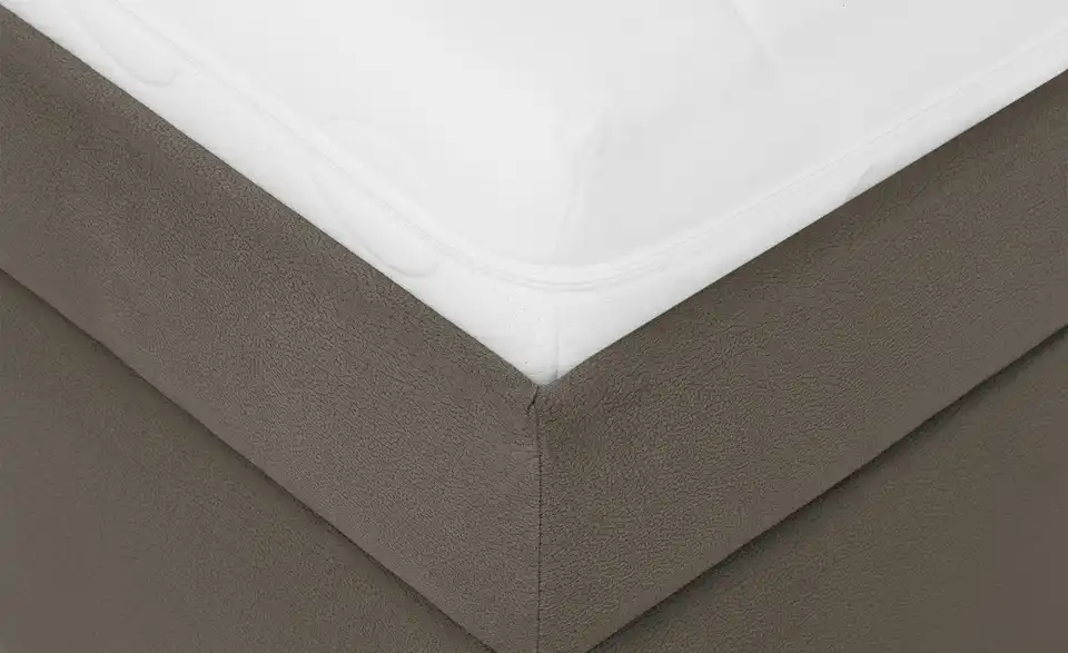 Polsterbett Lauren Taupe 120 cm