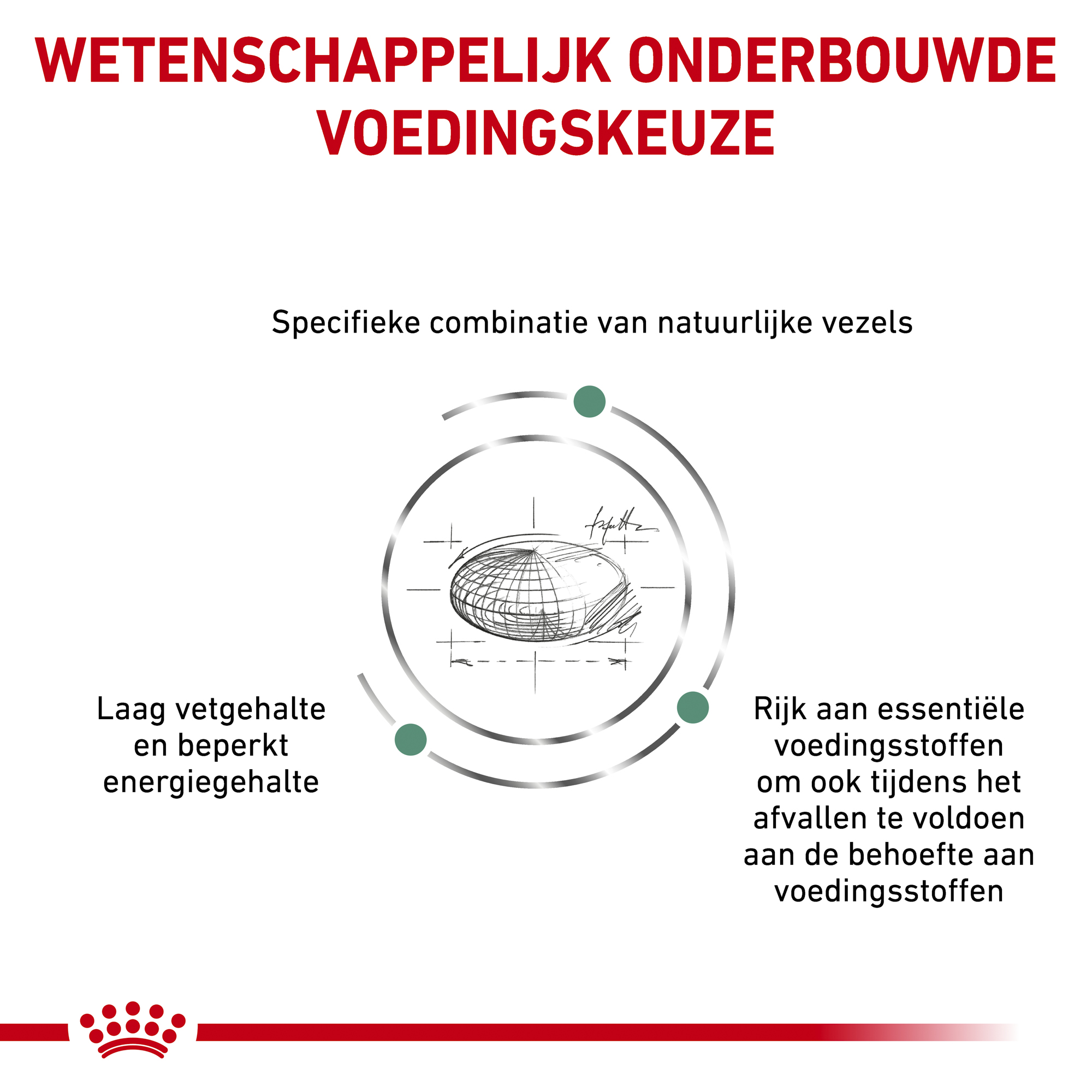 Royal Canin Satiety Weight Management Kat