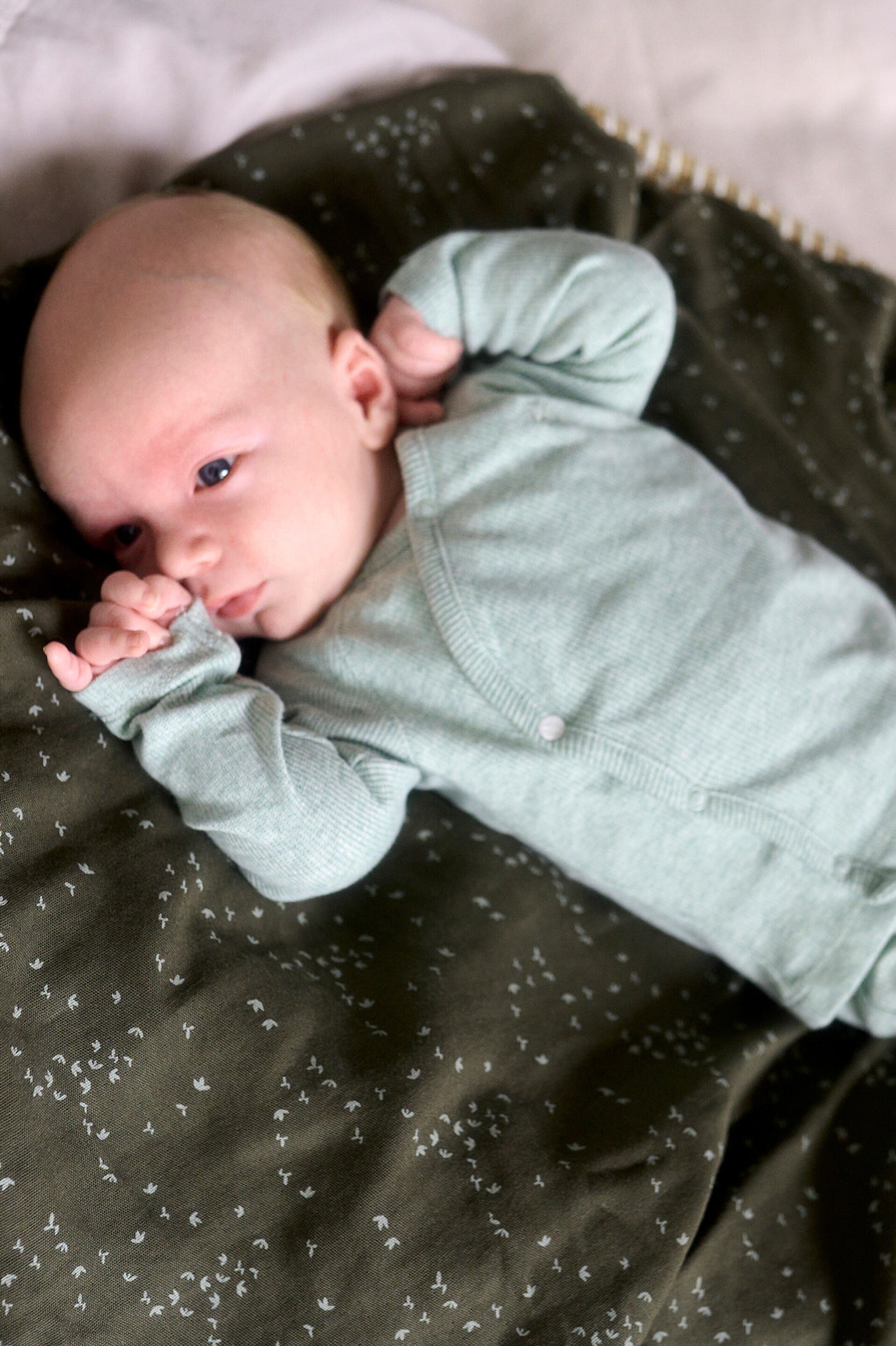 Noppies Baby Langarmshirt Nanyuki Navy Melange