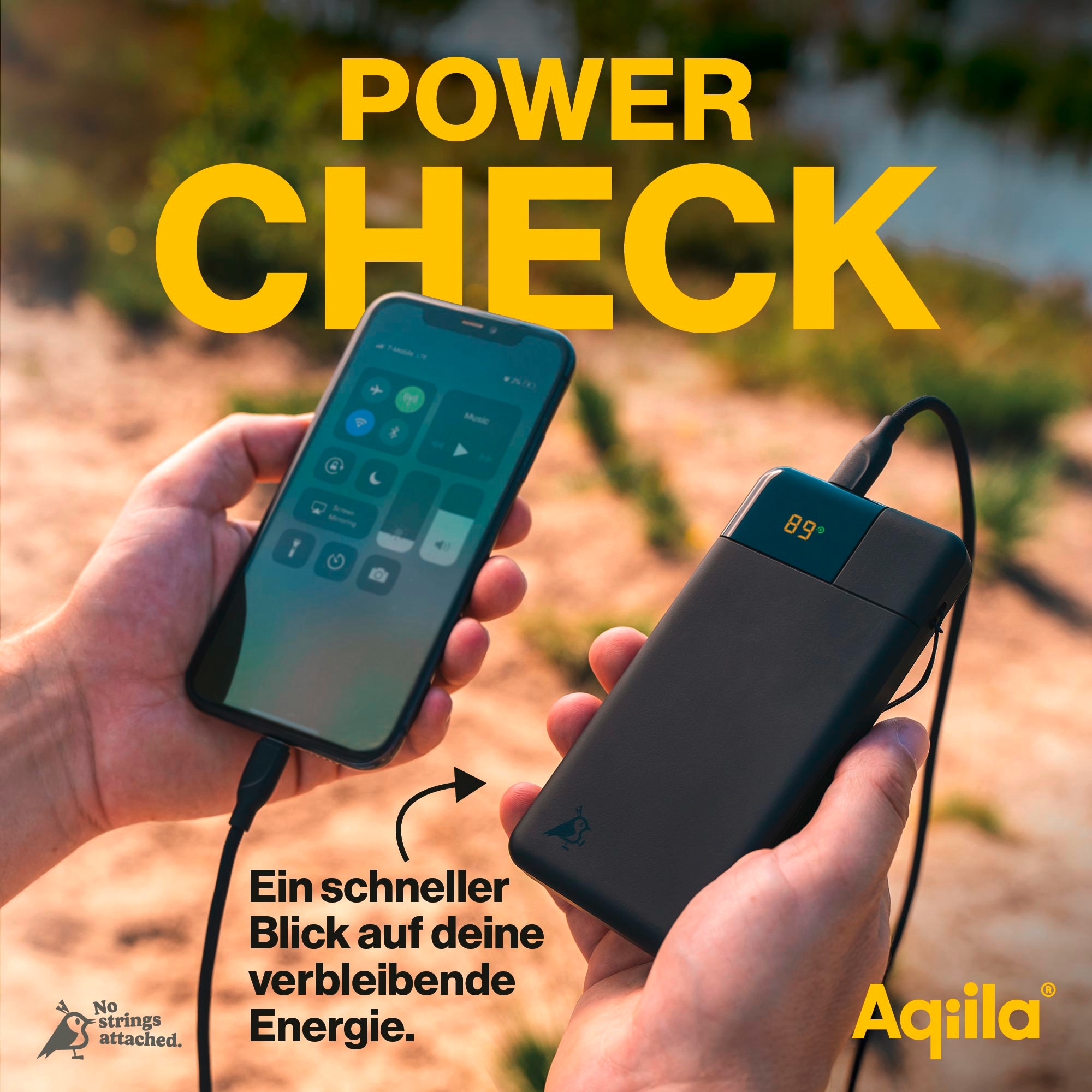 Aqiila Powerbird Powerbank 20 W 10000 mAh schwarz