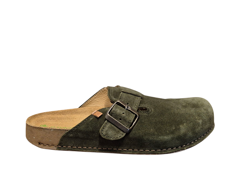 El Naturalista N5796 Forest