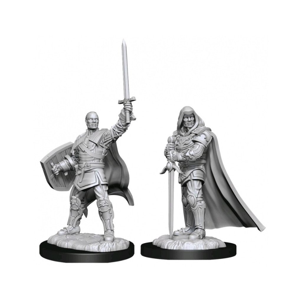 D&D Nolzur's Marvelous Unpainted Miniatures: Human Paladin Male