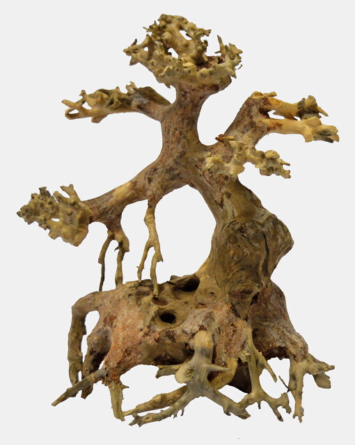 Superfish Bonsai Driftwood XS | Handgemaakte bomen