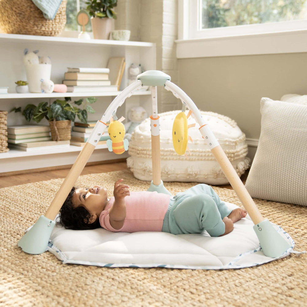 Køb Ingenuity Tummy To Toes™ 6-In-1 Milestones Center