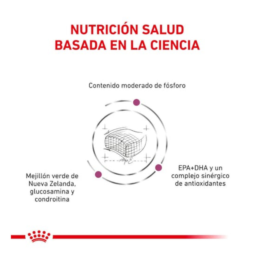 Ração Royal Canin Veterinary Early Renal para gatos