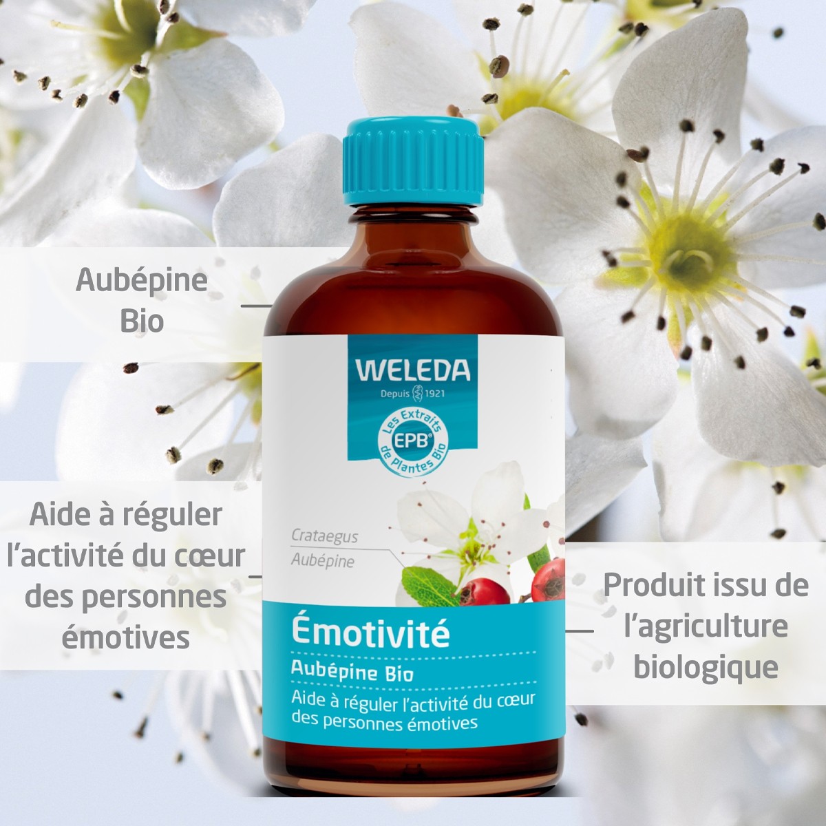 EPB® Aubépine bio - Emotivité - 100 ml
