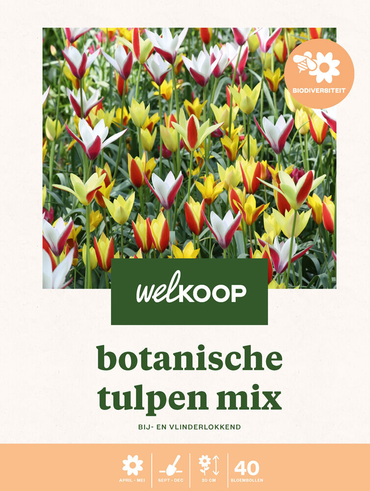 Welkoop Tulp Biodiversiteit  - Bloembollen