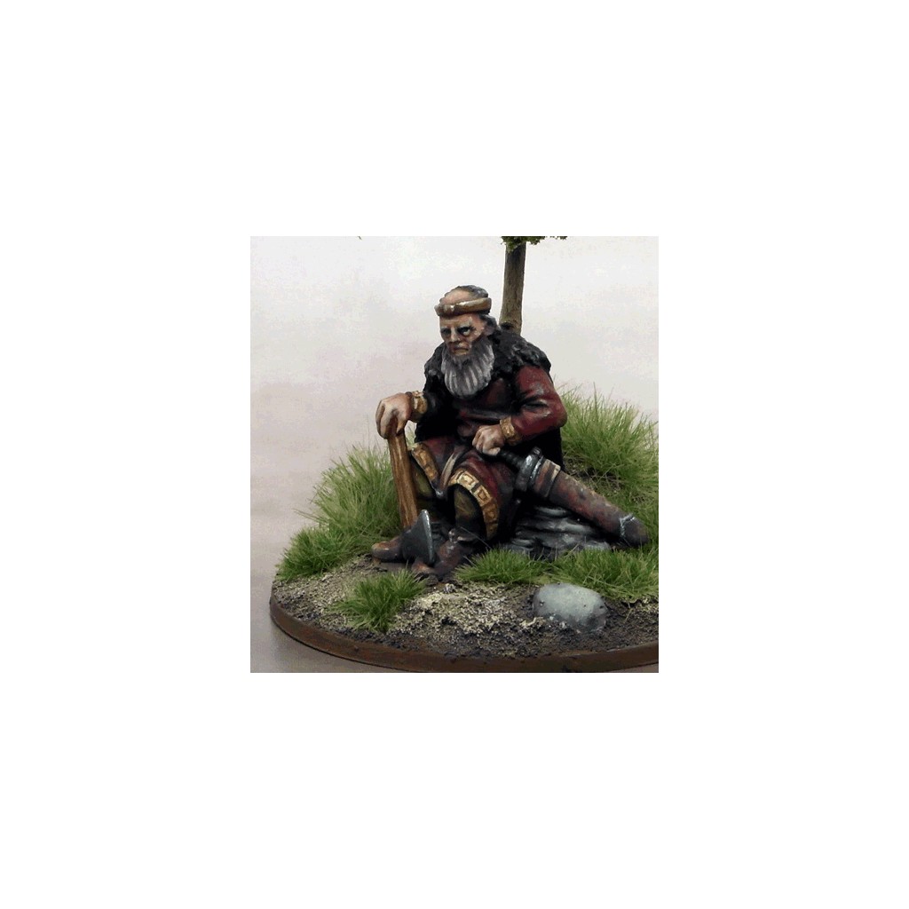 Saga - Brian Boru