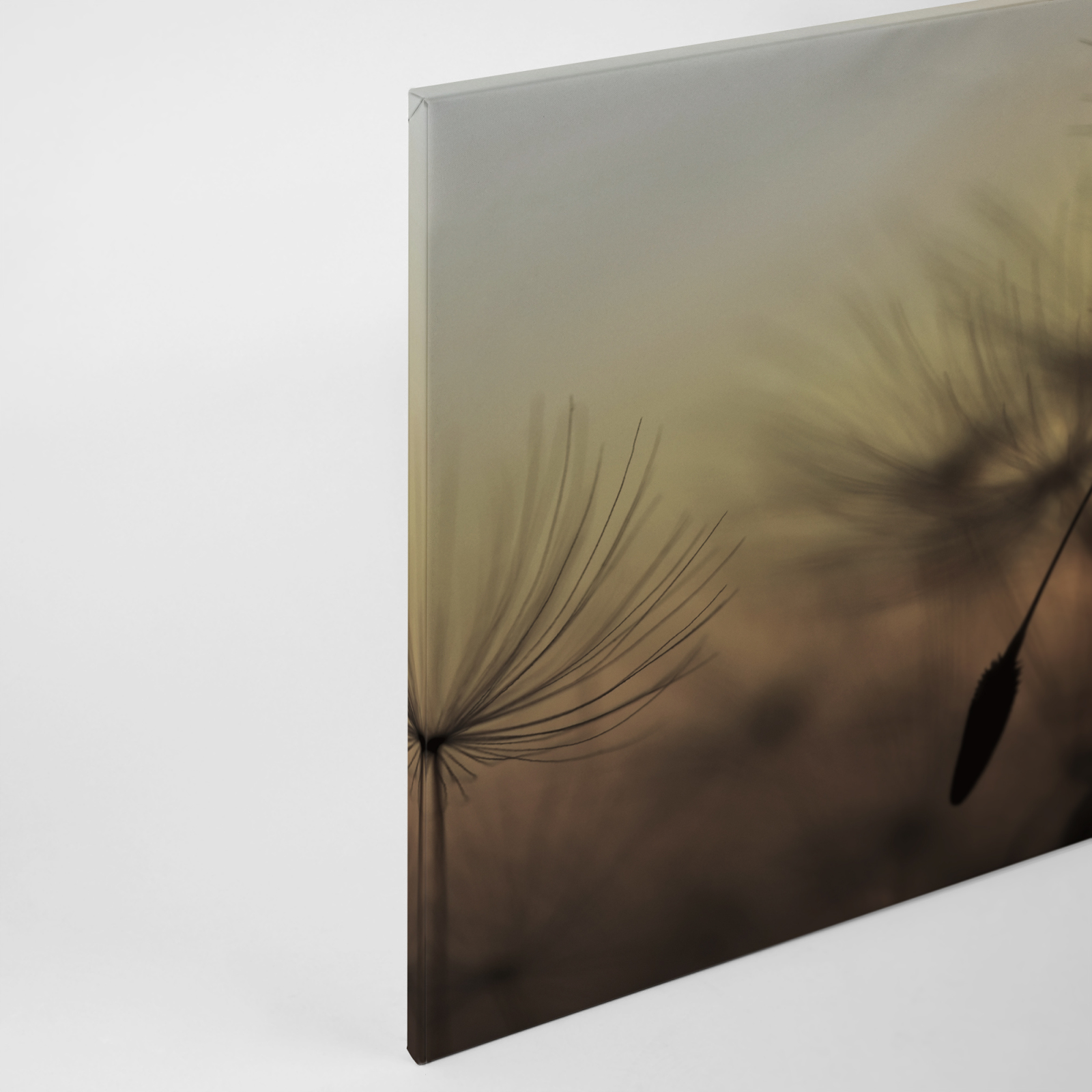 Leinwandbild PUSTEBLUME - orange-gelb - 90x60 cm