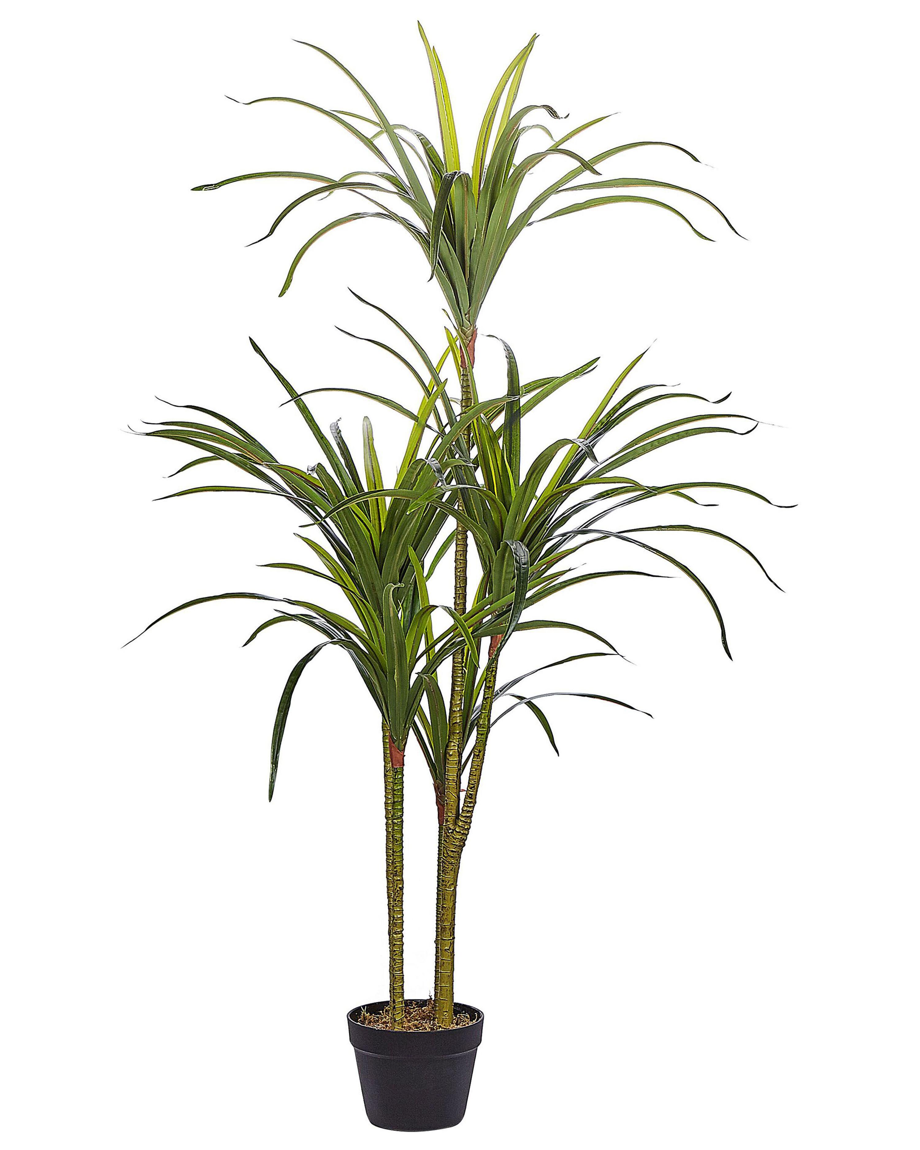 Kunstplant DRACAENA ANITA 147 cm Groen