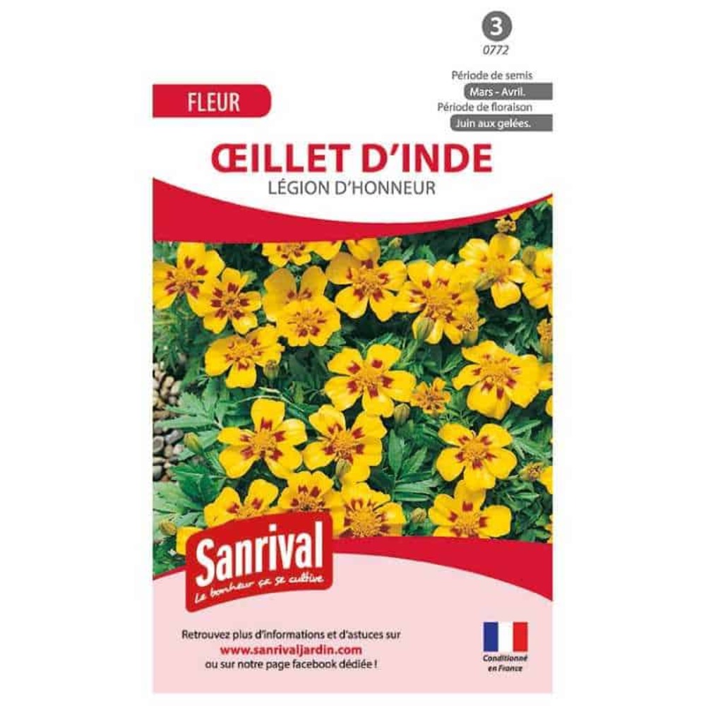 Graines d'oeillet légion d'honneur