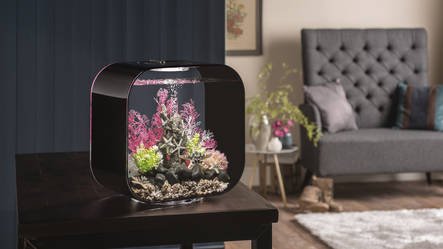 biOrb Life 30 MCR Zwart | Aquarium