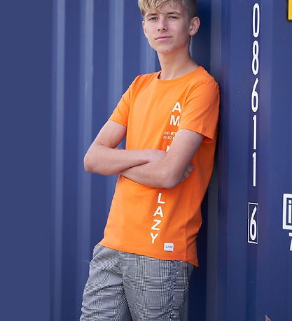 Hound Shorts - Chino - Gr?ternet