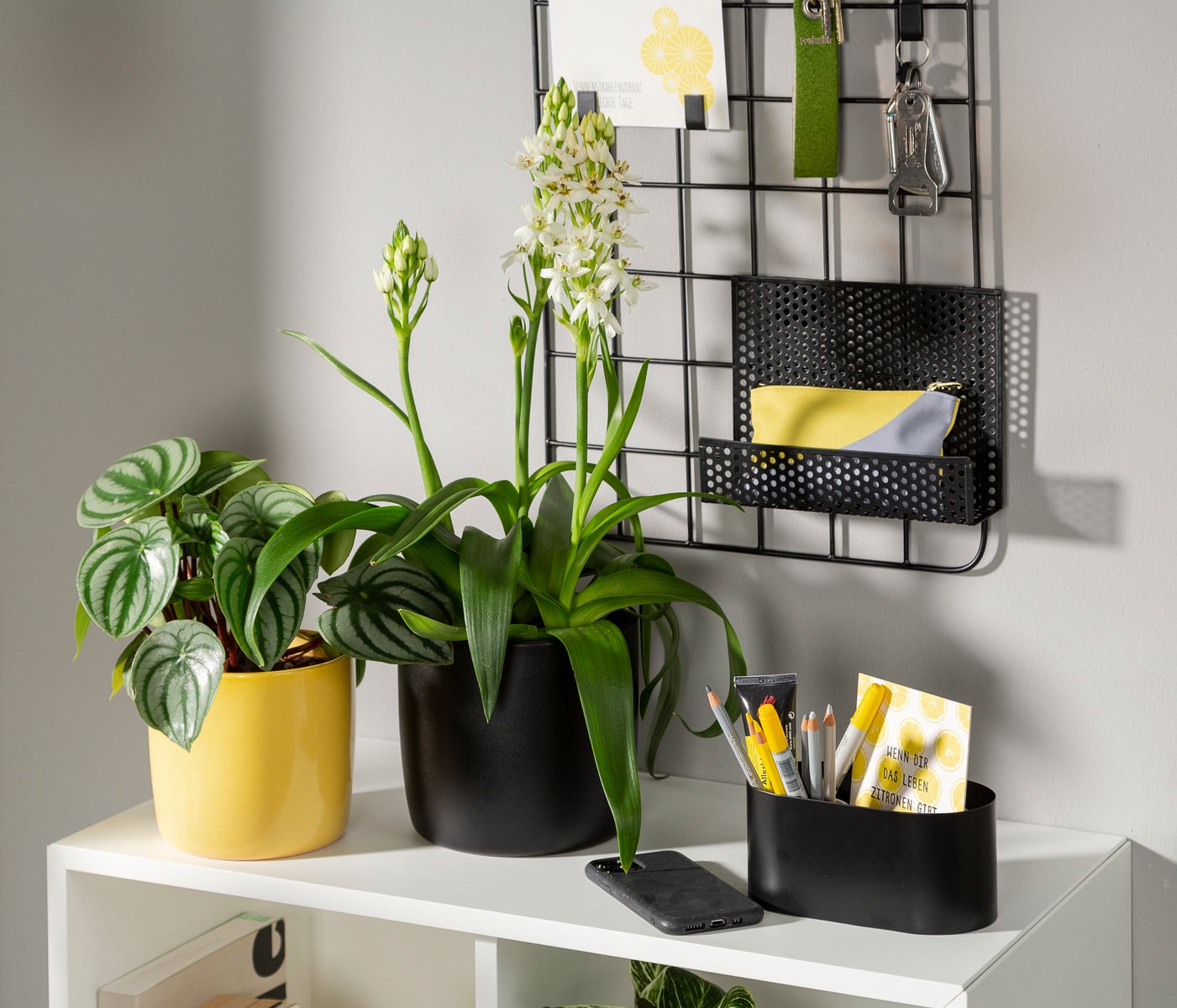 Scheurich Solido, keramische bloempot set van 2, kleur: Ebano, 15 cm diameter, 13,7 cm hoog, inhoud 1,9 l.