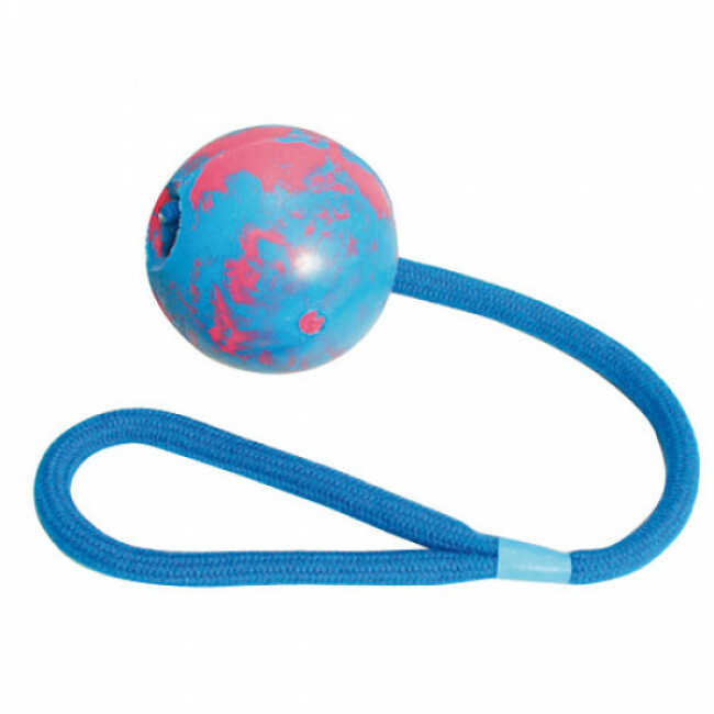 Balle flottante avec corde pour chien