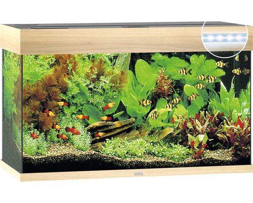 JUWEL Rio 125 aquarium met LED-verlichting, pomp, filter, verwarming (zonder kast), licht hout