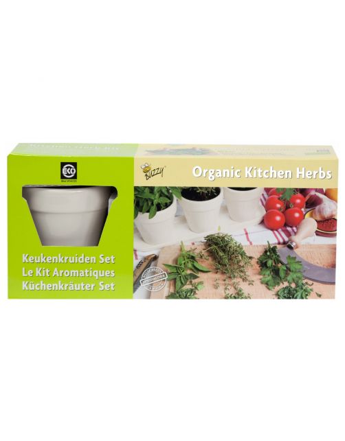 Buzzy Bio Keukenkruiden Set Wit - Kweeksets - 3 stuks