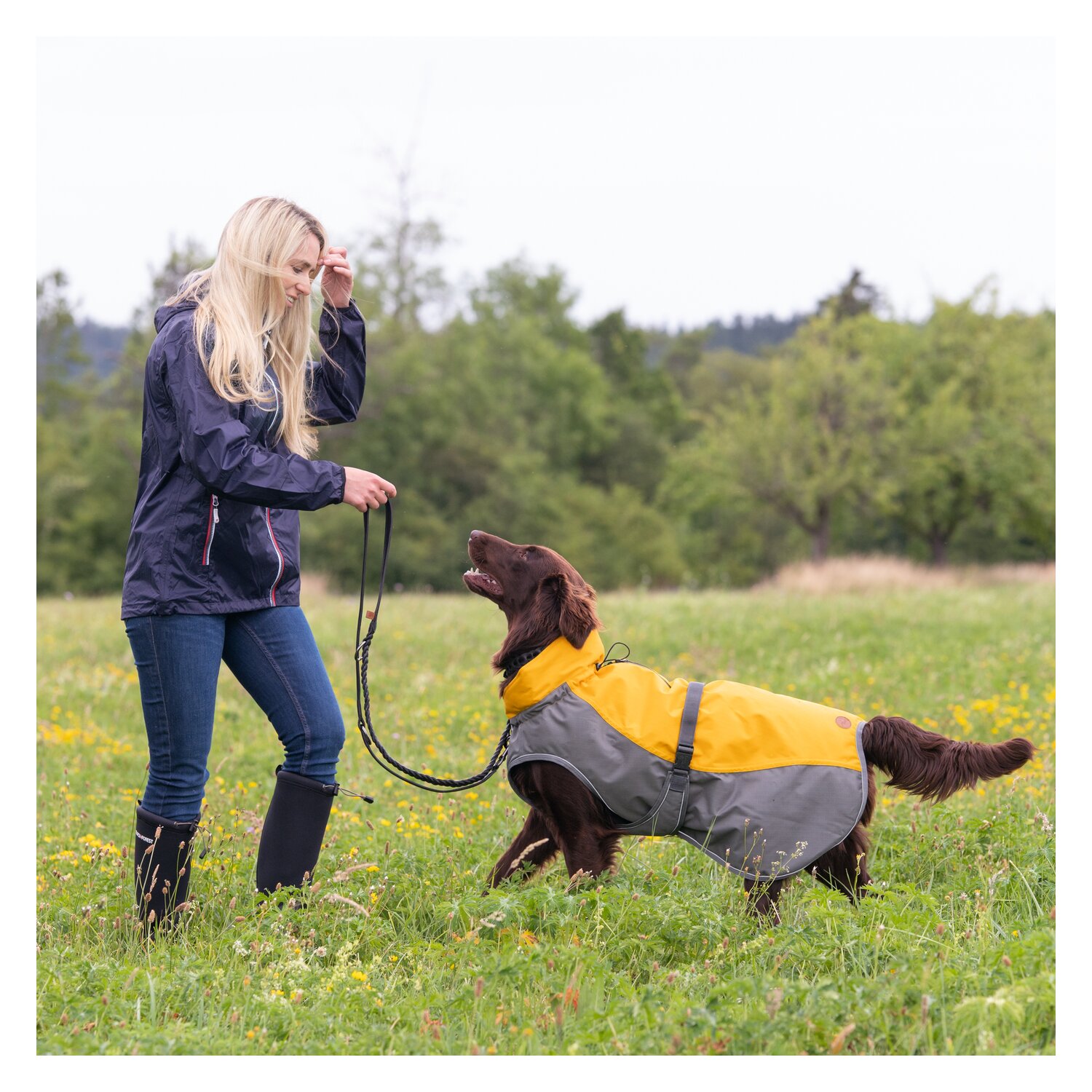 pawberry Hunde-Wintermantel York - daylily/anthrazit