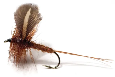 Unique Flies Rocken Str. 10 Brown