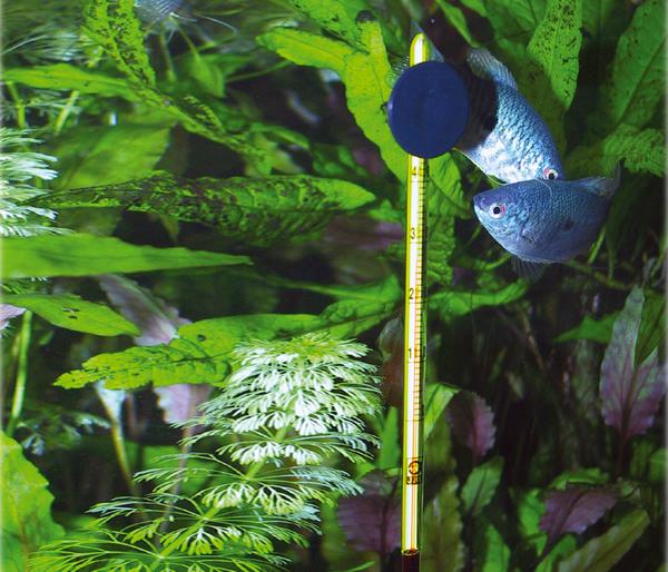 JBL Aquarium Thermometer Slim