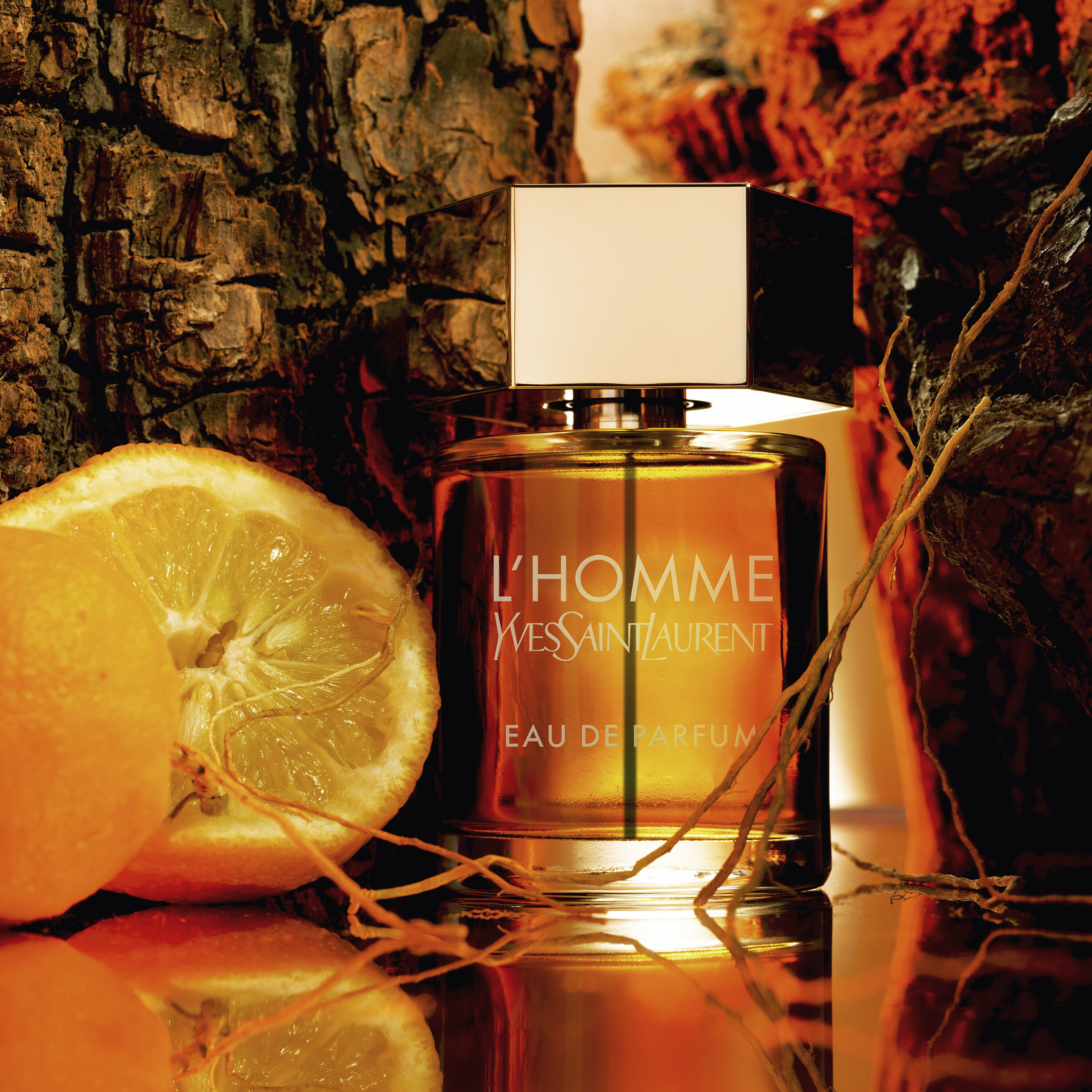 L'HOMME EAU DE PARFUM  ORANGE AMÈRE - BOIS DE CHÊNE