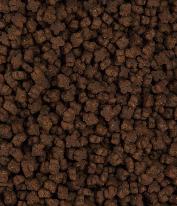 Dehner Premium Trockenfutter für Katzen